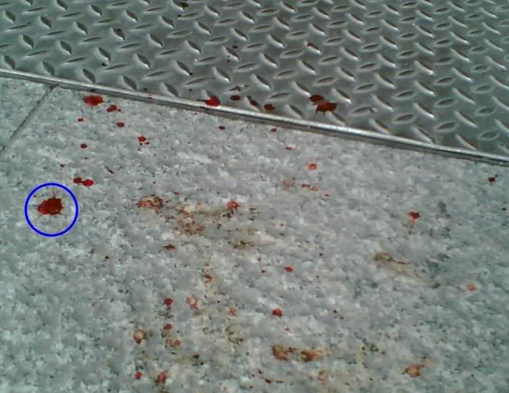 Photobucket - Video and Image Hosting flagdayblood.jpg