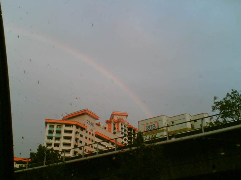 rainbow3-1.jpg