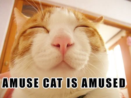 amusecat.jpg