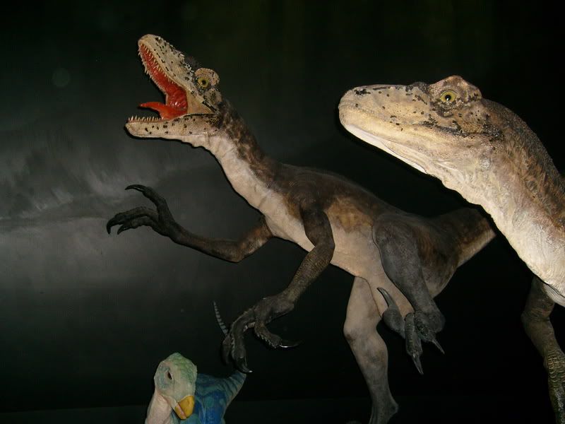 australian museum dinosaurs