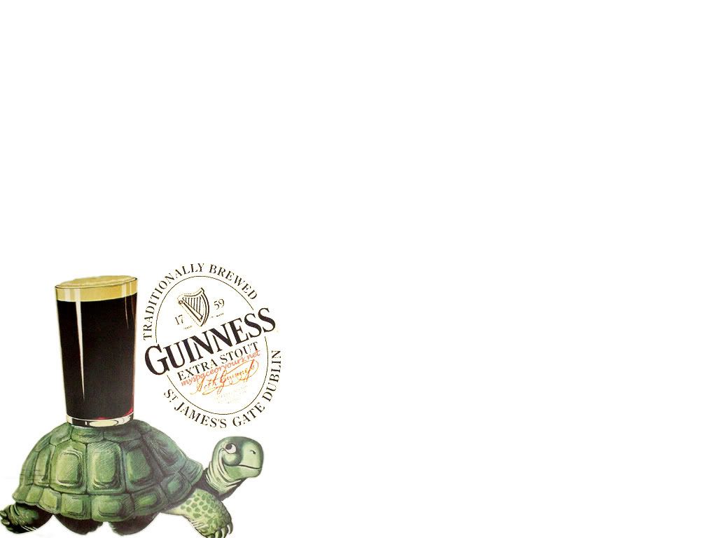 Guinness Turtle