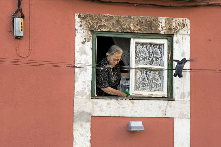Португалия в картинках (сентябрь 2009) Португалия в картинках (сентябрь 2009)
