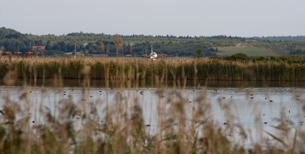 Небо, самолёт, стюардесса. Фото из путешествий.