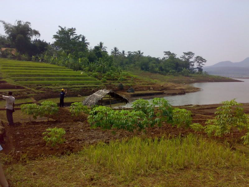 Photo Sharing and Video Hosting at Photobucket