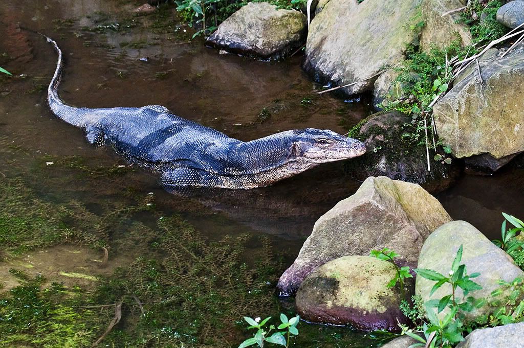 IMAGE: http://i3.photobucket.com/albums/y57/cyberlawprof/IMG_0356web.jpg