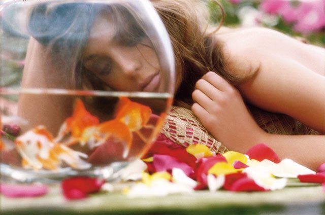 Image hosted by Photobucket.com