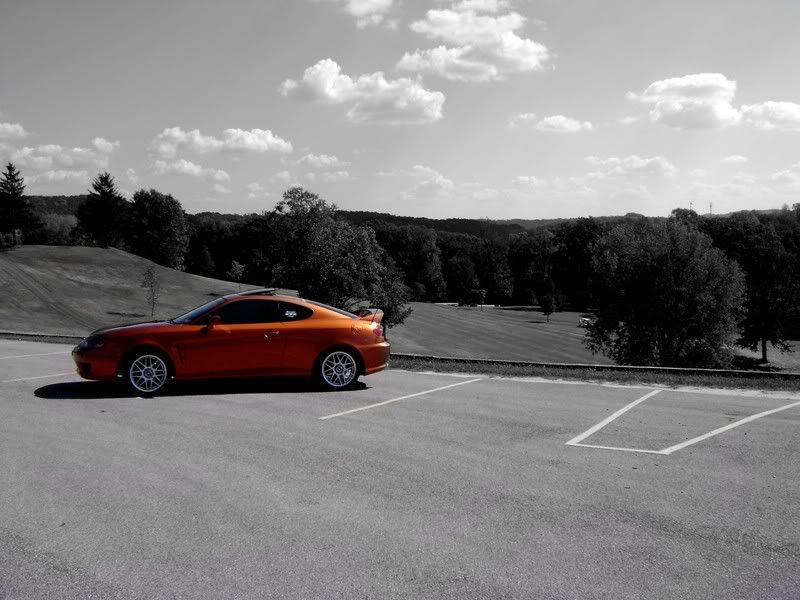 Burnt Orange Tiburon