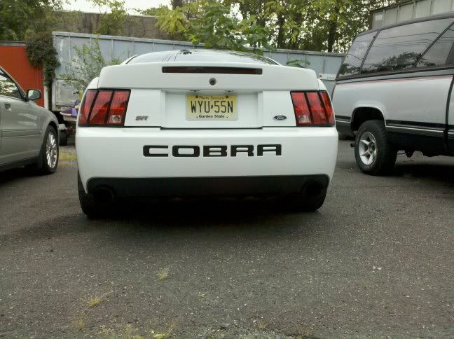 White Svt Cobra