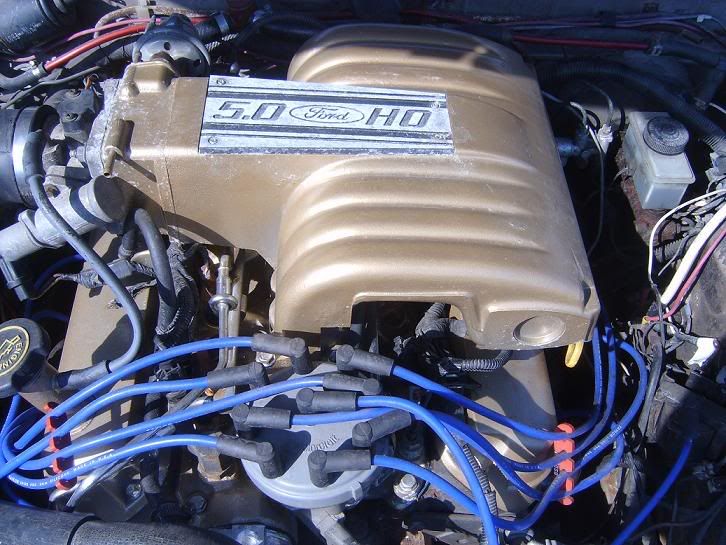 http://i3.photobucket.com/albums/y58/ronnie852/rx7engine.jpg