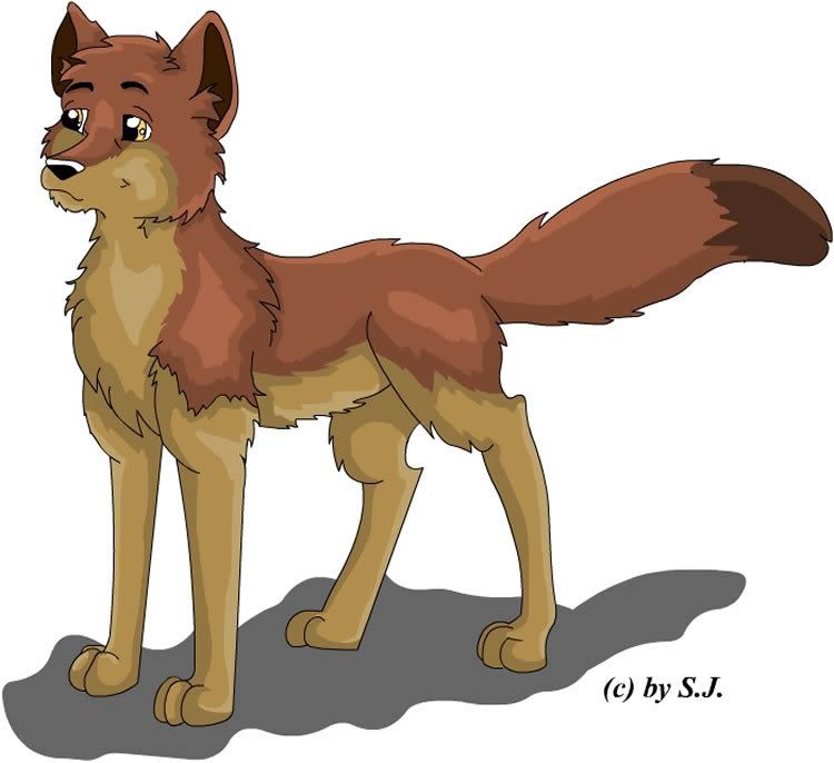 anime wolf drawings. anime wolf images