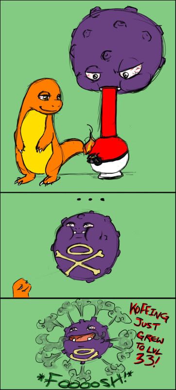 [image loading]