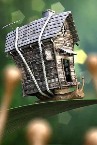 HouseSnail