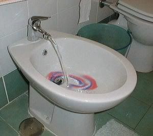 http://i3.photobucket.com/albums/y59/raine1967/Bidet_america.jpg