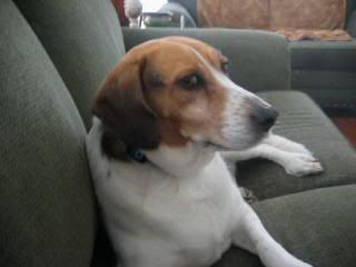 http://i3.photobucket.com/albums/y59/raine1967/IMG_1805.jpg