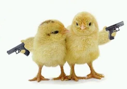 Forum Image: http://i3.photobucket.com/albums/y59/takeajoke/naked-chicks-with-guns.jpg