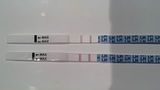 March 19, Top test the 18 and bottom test the 19   OPK