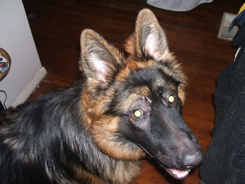 DSCF9179.jpg