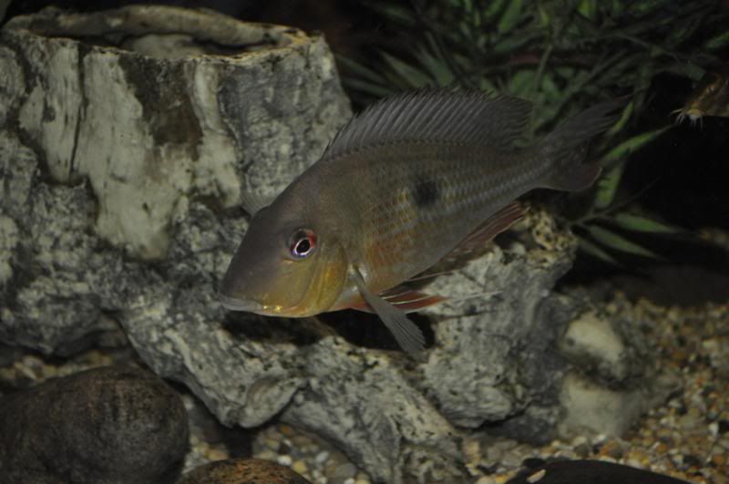 DSC_4879.jpg