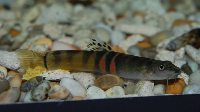 DSC_5649.jpg