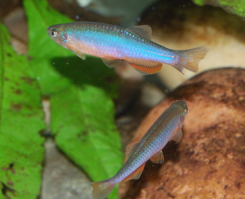 DSC_3339.jpg