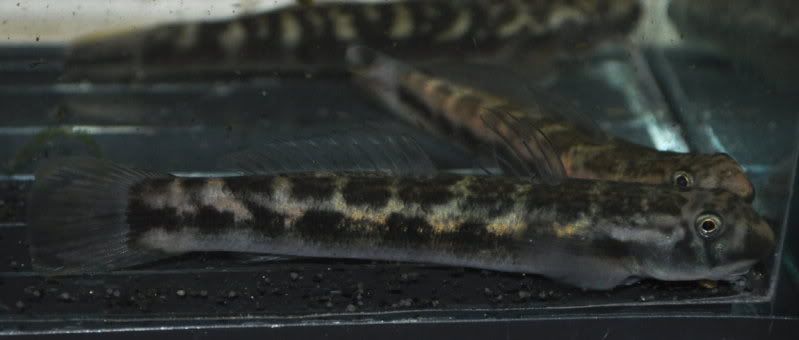 DSC_7844.jpg