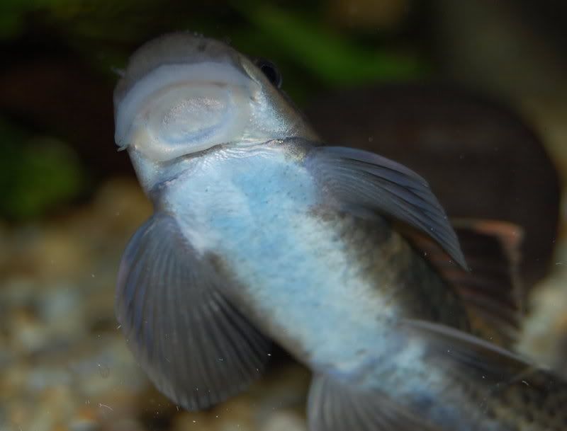 DSC_9567.jpg