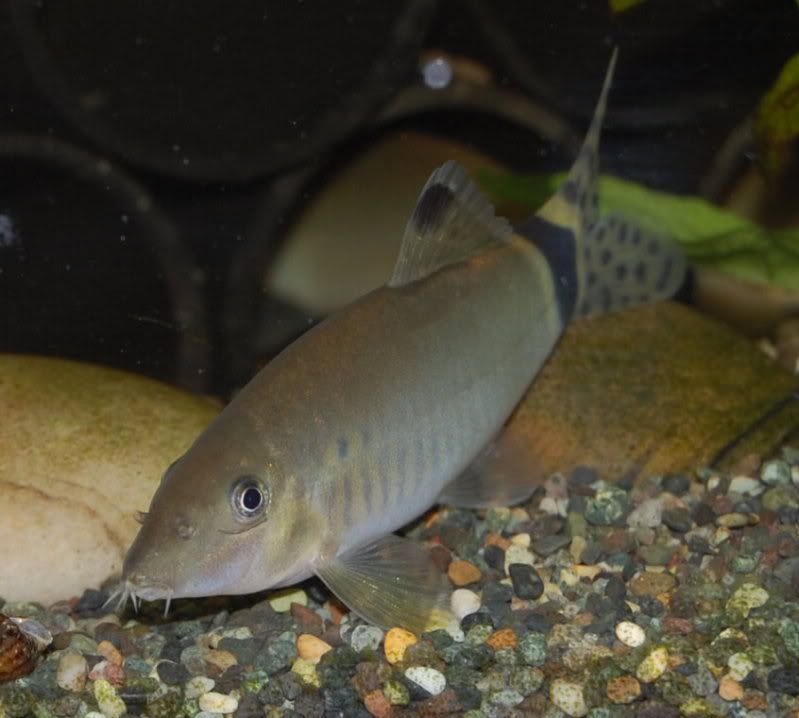 DSC_2064.jpg