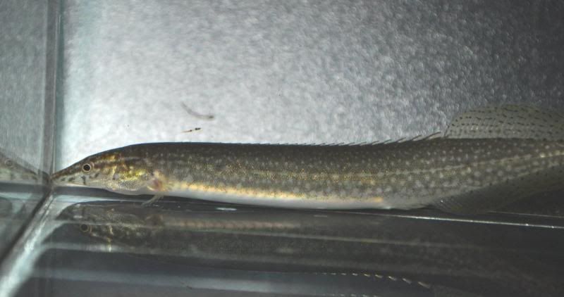 DSC_2849.jpg
