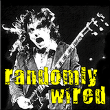 Randomly Wired Randomly Wired