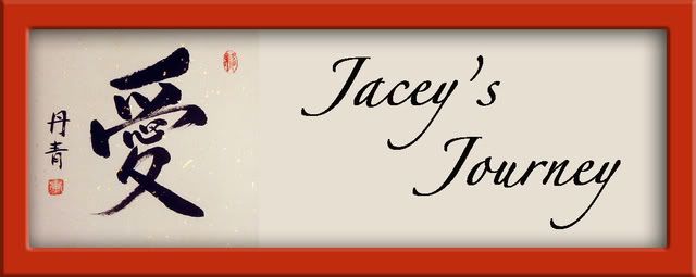 Jacey's Journey