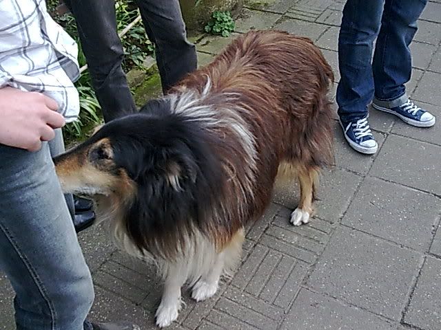 Afbeelding