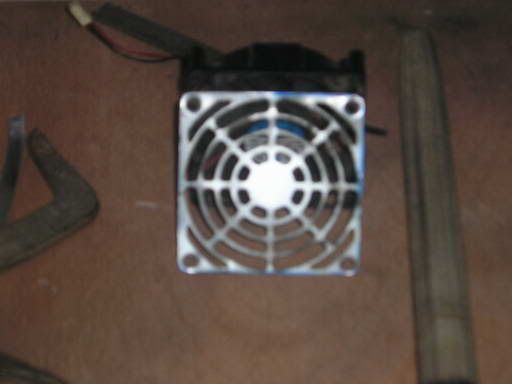 P1010009_resize.jpg