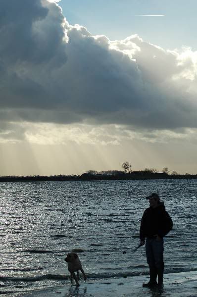 http://i3.photobucket.com/albums/y61/SaskiaBernadette/Erkemeder%20Strand%20Forum%20wandeling/LabforumErkemederstra2007-1-2100075.jpg