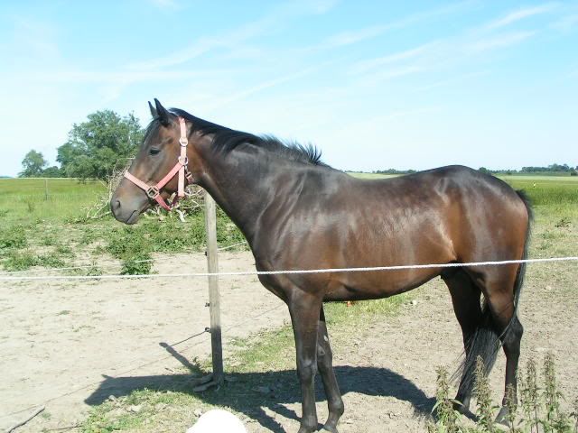 PICT0047.jpg