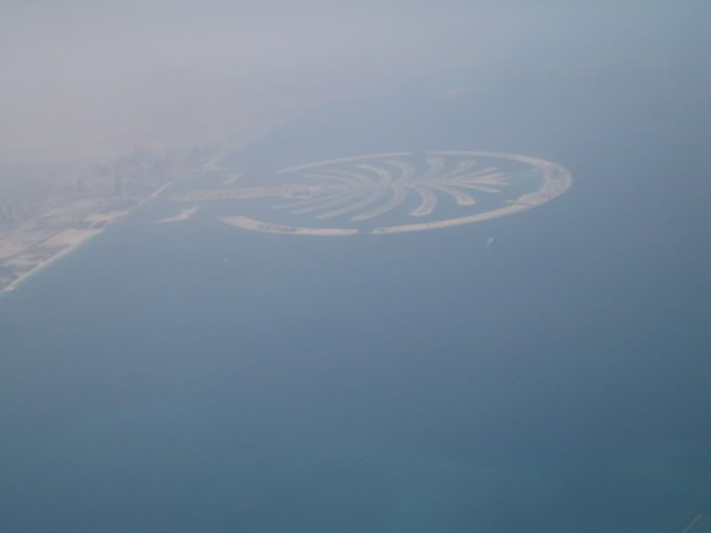 dubai palm