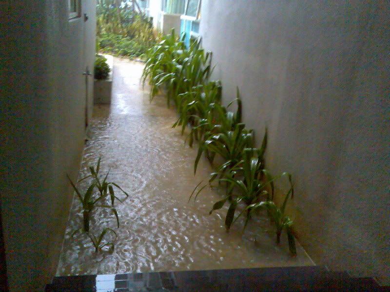 mini flood