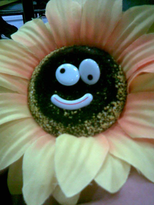 mr sunflower