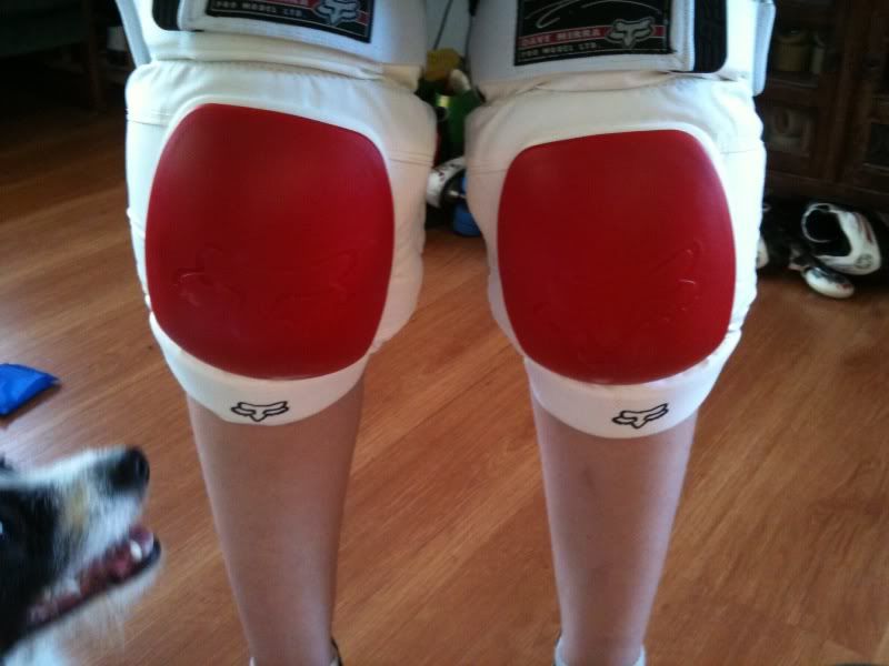 Image result for ugly knee pads