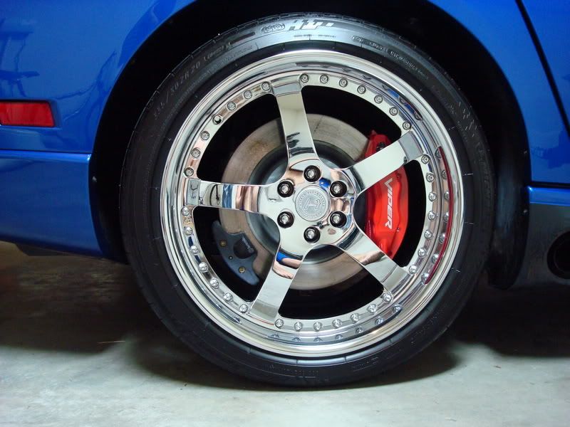Viper012.jpg