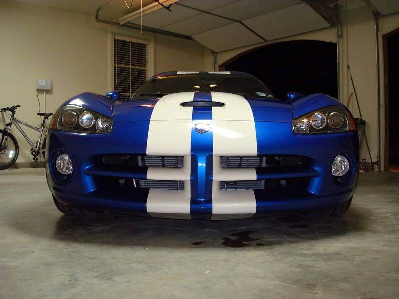Viper015.jpg