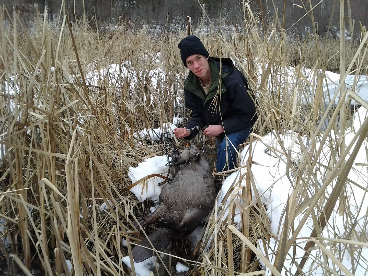596lbsbeaver1-29-12.jpg