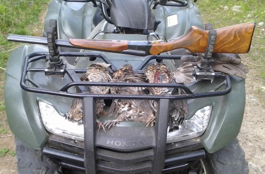 grouse_zps7619904d.jpg