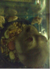 Picture10.png image by _code_red_