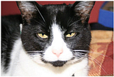 Picture14.png image by _code_red_