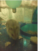 Picture7-2.png image by _code_red_