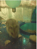 Picture7-3.png image by _code_red_