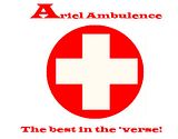 Arielv1.jpg image by _code_red_