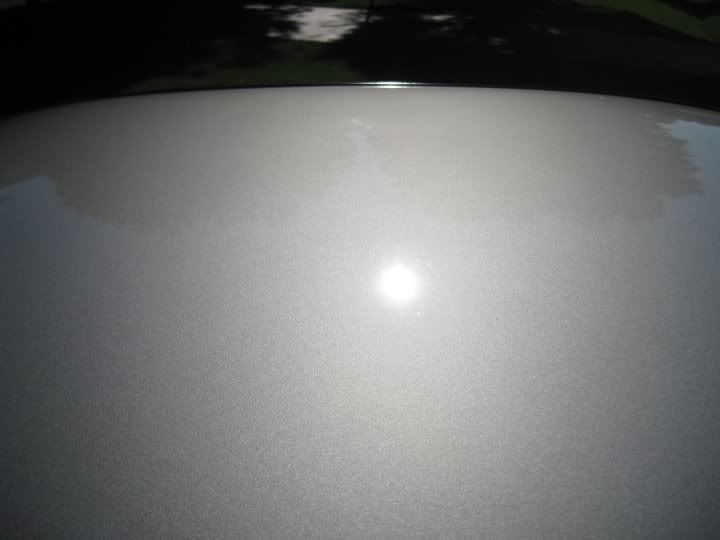 29319_397557470682_709560682_469463.jpg