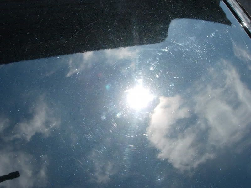 DSCN4612.jpg