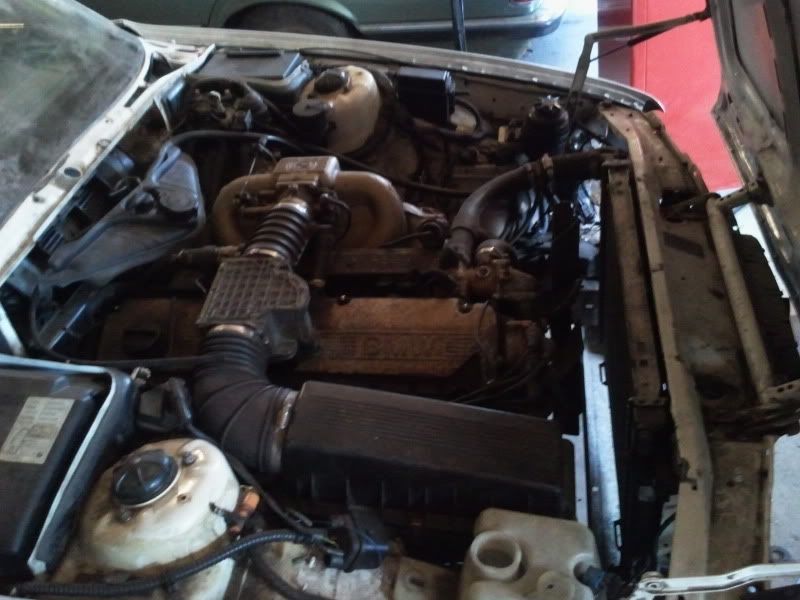 2011-08-15192309.jpg